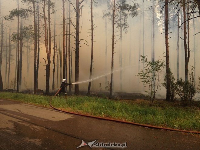 Gigantyczny pożar lasu w gminie Kadzidło [24.05.2014] - zdjęcie #76 - eOstroleka.pl