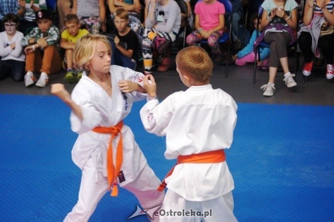 Pokaz karate MKKK Shinkyokouyshin (21.09.2014) - zdjęcie #24 - eOstroleka.pl