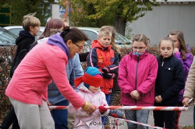 Impreza sportowo-rekreacyjna dla dzieci i młodzieży [18.10.2014] - zdjęcie #11 - eOstroleka.pl