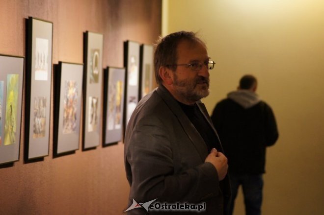 Wernisaż wystawy rysunków Moniki Janowskiej (14.11.2014) - zdjęcie #9 - eOstroleka.pl