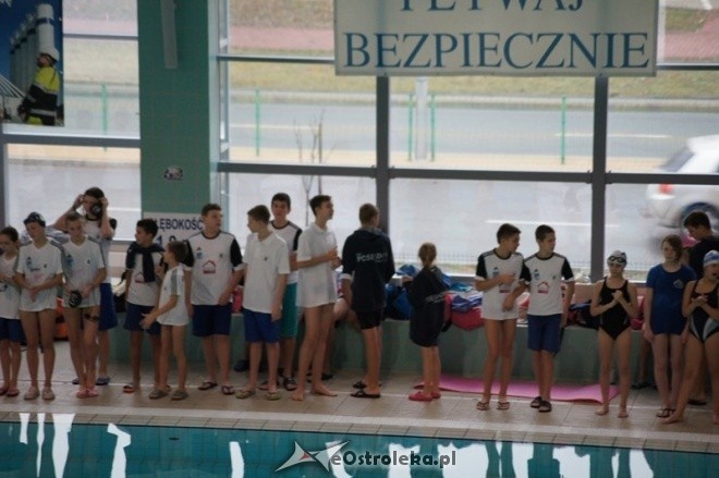 Mistrzostwa Ostrołęki w pływaniu [15.11.2014] - zdjęcie #4 - eOstroleka.pl