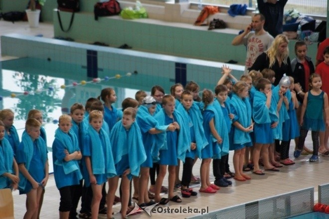 Mistrzostwa Ostrołęki w pływaniu [15.11.2014] - zdjęcie #8 - eOstroleka.pl