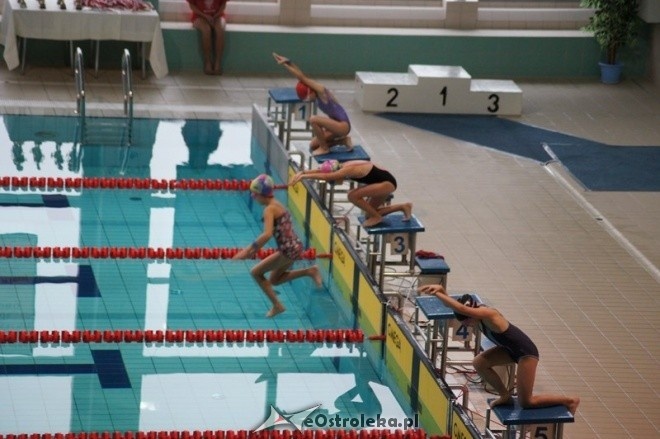 Mistrzostwa Ostrołęki w pływaniu [15.11.2014] - zdjęcie #13 - eOstroleka.pl