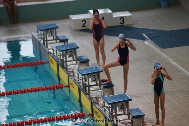 Mistrzostwa Ostrołęki w pływaniu [15.11.2014] - zdjęcie #15 - eOstroleka.pl