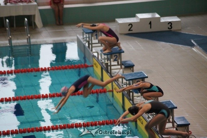 Mistrzostwa Ostrołęki w pływaniu [15.11.2014] - zdjęcie #17 - eOstroleka.pl