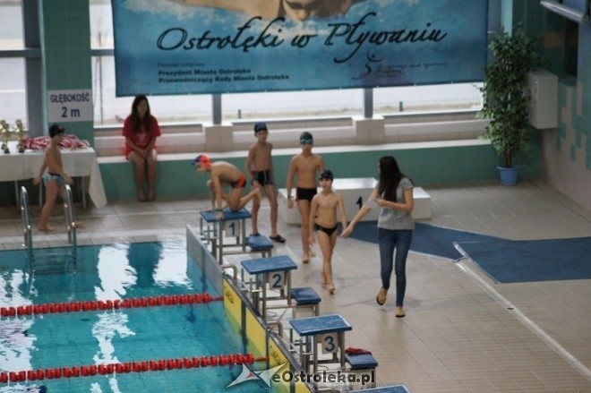 Mistrzostwa Ostrołęki w pływaniu [15.11.2014] - zdjęcie #19 - eOstroleka.pl