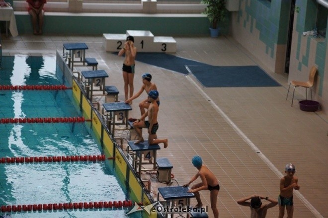 Mistrzostwa Ostrołęki w pływaniu [15.11.2014] - zdjęcie #24 - eOstroleka.pl