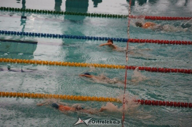 Mistrzostwa Ostrołęki w pływaniu [15.11.2014] - zdjęcie #26 - eOstroleka.pl