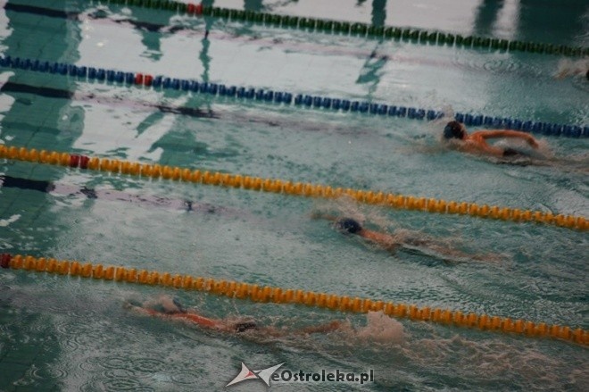 Mistrzostwa Ostrołęki w pływaniu [15.11.2014] - zdjęcie #27 - eOstroleka.pl