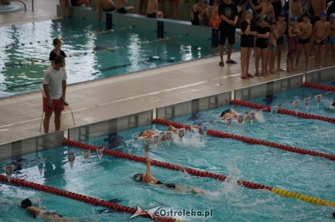 Mistrzostwa Ostrołęki w pływaniu [15.11.2014] - zdjęcie #36 - eOstroleka.pl