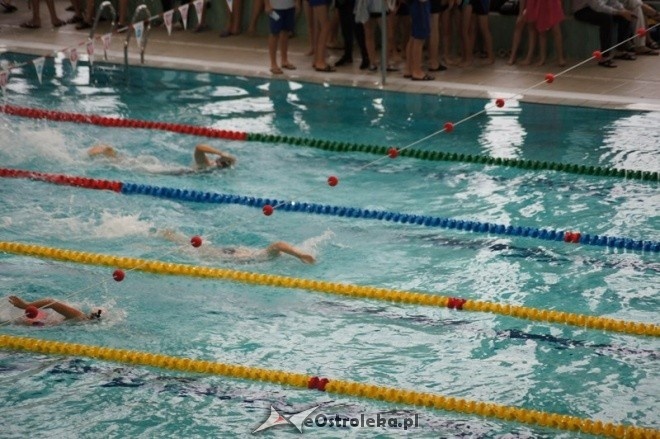 Mistrzostwa Ostrołęki w pływaniu [15.11.2014] - zdjęcie #37 - eOstroleka.pl