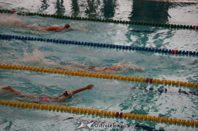 Mistrzostwa Ostrołęki w pływaniu [15.11.2014] - zdjęcie #38 - eOstroleka.pl