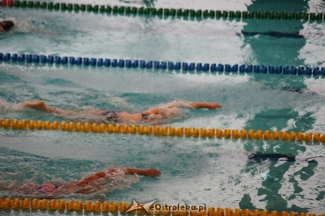 Mistrzostwa Ostrołęki w pływaniu [15.11.2014] - zdjęcie #39 - eOstroleka.pl