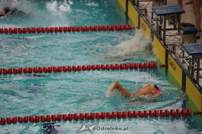 Mistrzostwa Ostrołęki w pływaniu [15.11.2014] - zdjęcie #41 - eOstroleka.pl