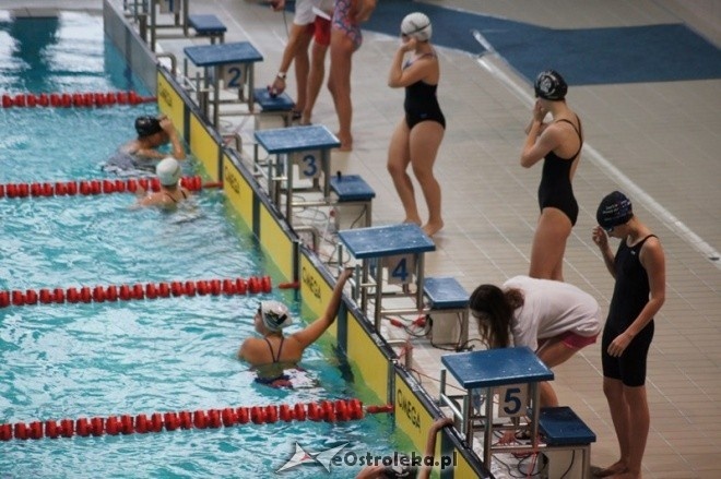 Mistrzostwa Ostrołęki w pływaniu [15.11.2014] - zdjęcie #46 - eOstroleka.pl