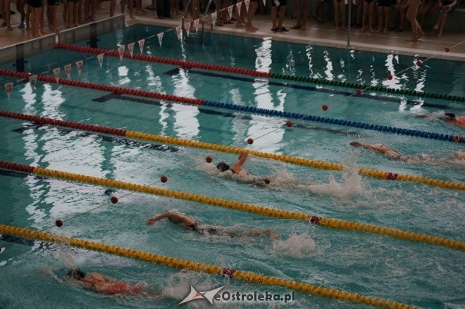 Mistrzostwa Ostrołęki w pływaniu [15.11.2014] - zdjęcie #51 - eOstroleka.pl