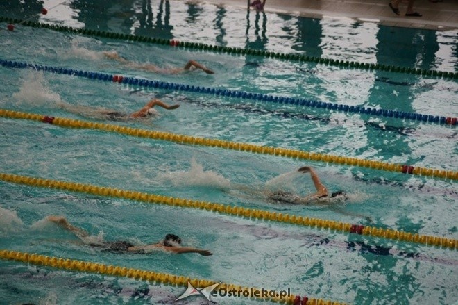 Mistrzostwa Ostrołęki w pływaniu [15.11.2014] - zdjęcie #53 - eOstroleka.pl