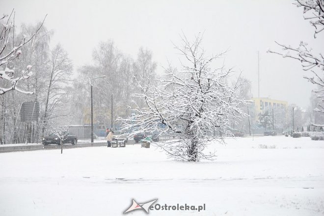 Uwaga kierowcy! Pierwszy w tym roku atak zimy trwa. Śnieg będzie padał przez cały dzień [20.11.2014] - zdjęcie #21 - eOstroleka.pl