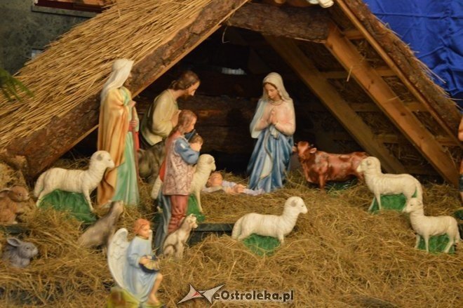 Bożonarodzeniowe szopki w ostrołęckich kościołach - 2014 - zdjęcie #24 - eOstroleka.pl