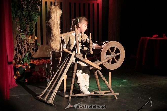 „Bajka z Kołowrotka” w wykonaniu Dziecięcego Teatru Amatorskiego [25.01.2015] - zdjęcie #6 - eOstroleka.pl