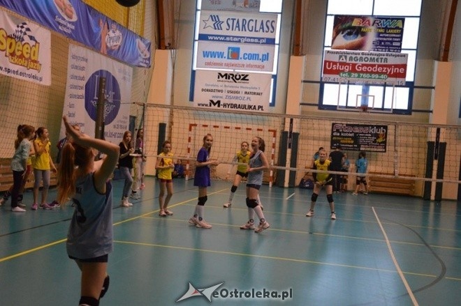 Turniej minisiatkówki dziewcząt [07.02.2015] - zdjęcie #1 - eOstroleka.pl