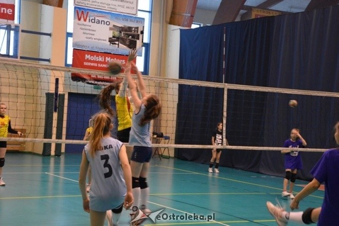 Turniej minisiatkówki dziewcząt [07.02.2015] - zdjęcie #6 - eOstroleka.pl