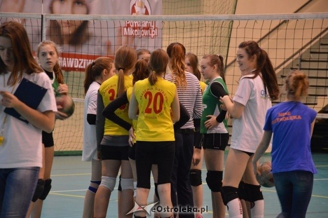 Turniej minisiatkówki dziewcząt [07.02.2015] - zdjęcie #16 - eOstroleka.pl