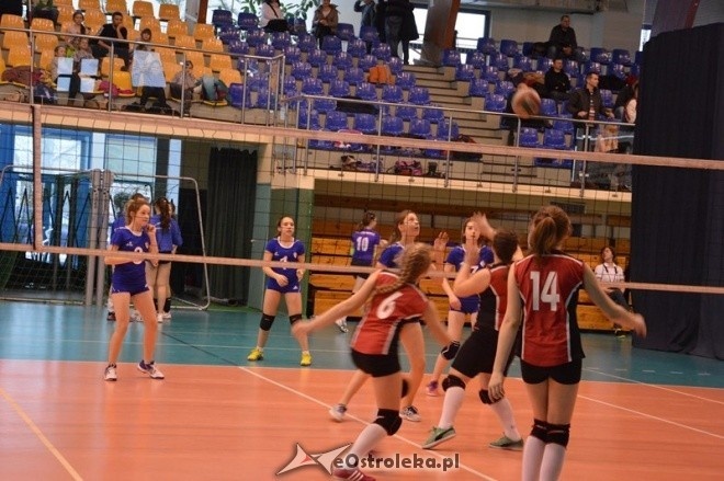 Turniej minisiatkówki dziewcząt [07.02.2015] - zdjęcie #18 - eOstroleka.pl