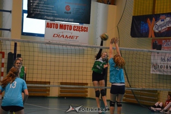 Turniej minisiatkówki dziewcząt [07.02.2015] - zdjęcie #32 - eOstroleka.pl
