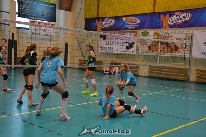 Turniej minisiatkówki dziewcząt [07.02.2015] - zdjęcie #34 - eOstroleka.pl