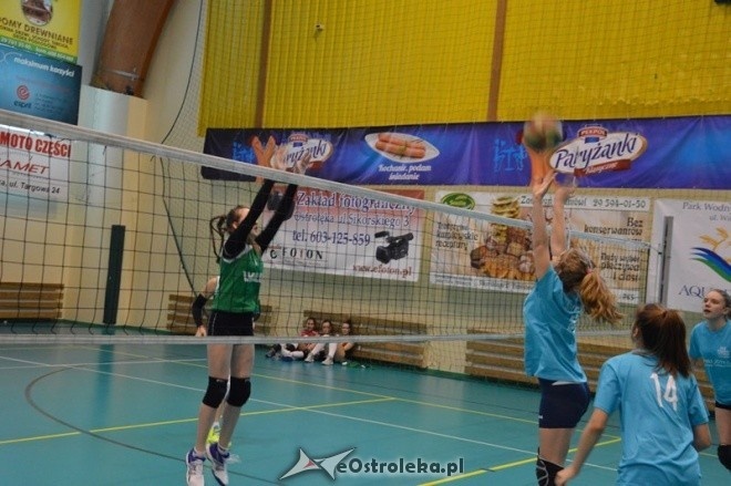 Turniej minisiatkówki dziewcząt [07.02.2015] - zdjęcie #43 - eOstroleka.pl