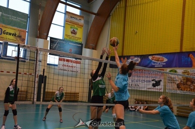 Turniej minisiatkówki dziewcząt [07.02.2015] - zdjęcie #46 - eOstroleka.pl