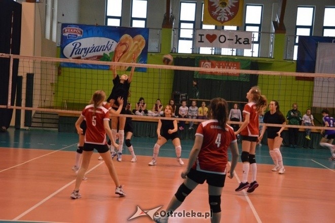 Turniej minisiatkówki dziewcząt [07.02.2015] - zdjęcie #48 - eOstroleka.pl