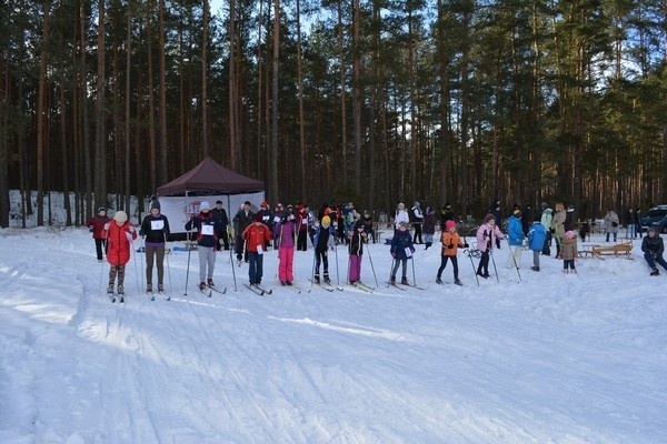 Bieg narciarski o Puchar Wójta Gminy Łyse [08.02.2015] - zdjęcie #5 - eOstroleka.pl