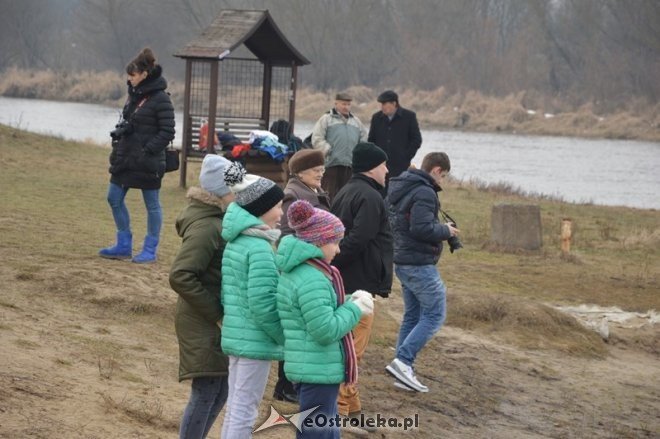 Kąpiel ostrołęckich morsów w Narwi [21.02.2015] - zdjęcie #6 - eOstroleka.pl