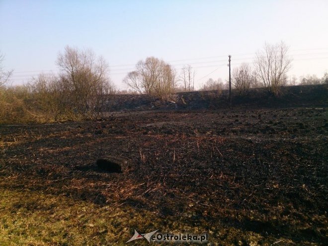 Kleczkowo: Pożar traw wzdłuż torów kolejowych. W akcji gaśniczej użyte zostały samoloty strażackie [25.03.2015] - zdjęcie #4 - eOstroleka.pl