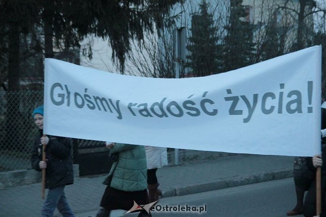 Marsz dla Życia i Rodziny 2015: Setki mieszkańców na ulicach Ostrołęki [ZDJĘCIA] - zdjęcie #35 - eOstroleka.pl