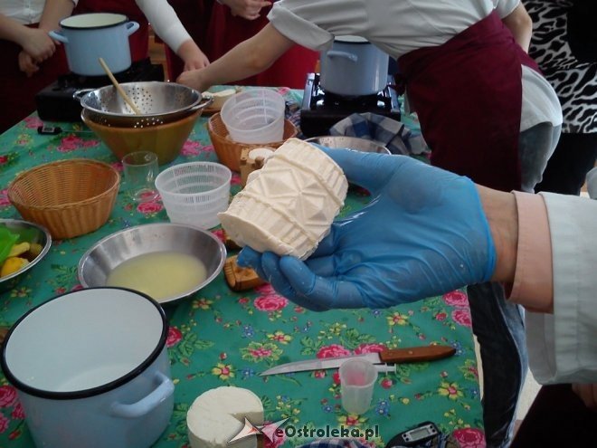 O produkcji sera podpuszczkowego z uczniami ostrołęckiej „czwórki” [16.04.2015] - zdjęcie #21 - eOstroleka.pl