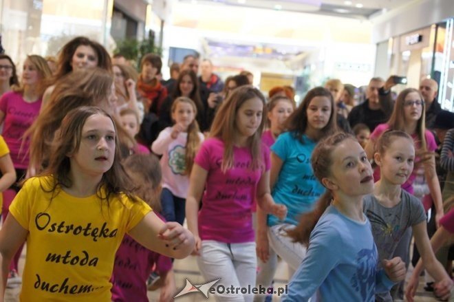 Warsztaty taneczne w Galerii Bursztynowej [19.04.2015] - zdjęcie #52 - eOstroleka.pl
