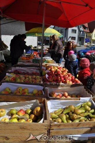 „Dzień 5 porcji warzyw, owoców i soku” w Kangurku [20.04.2015] - zdjęcie #24 - eOstroleka.pl