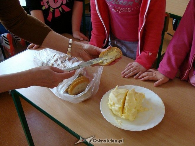 Uczniowie „szóstki” wiedzą jak powstaje i smakuje tradycyjne kurpiowskie masło [05.05.2015] - zdjęcie #18 - eOstroleka.pl