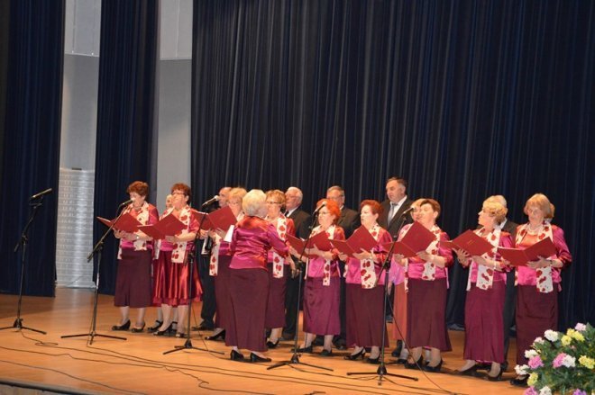 Ostrołęckie Spotkania Klubów Seniora [23.05.2015] - zdjęcie #23 - eOstroleka.pl