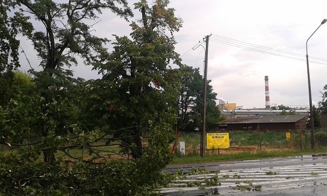 Powalone drzewa w Wojciechowicach [18.07.2015] - zdjęcie #6 - eOstroleka.pl