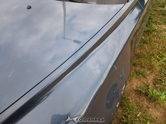 Ostrołęka: Psy pogryzły samochód. Policja bezradnie rozkłada ręce [22.07.2015] - zdjęcie #7 - eOstroleka.pl