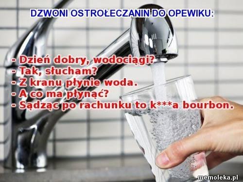 Ostrołęckie memy  - zdjęcie #4 - eOstroleka.pl