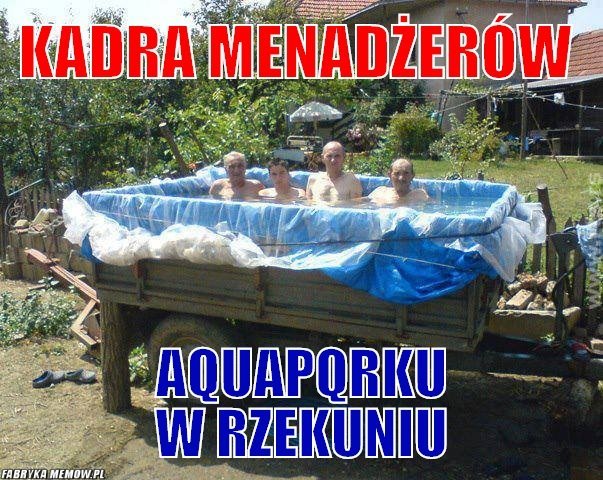 Ostrołęckie memy  - zdjęcie #5 - eOstroleka.pl
