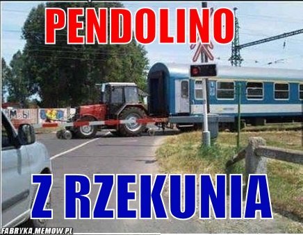 Ostrołęckie memy  - zdjęcie #8 - eOstroleka.pl