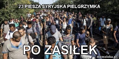 Ostrołęckie memy  - zdjęcie #17 - eOstroleka.pl