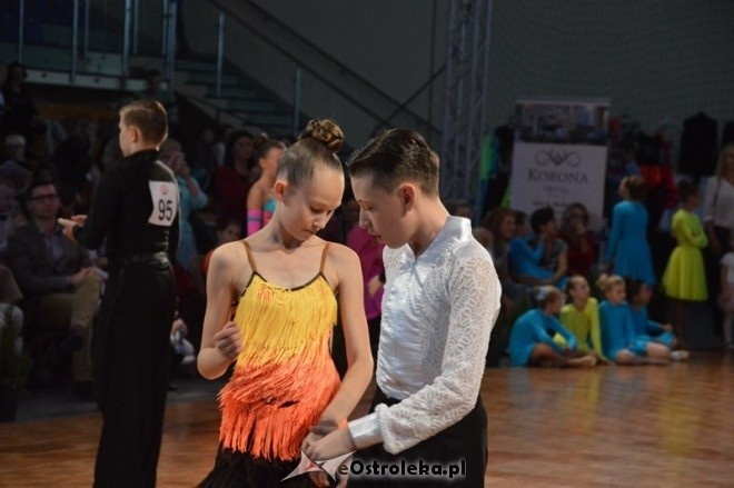 Turniej O złotą podwiązkę - sesja poranna [26.09.2015] - zdjęcie #51 - eOstroleka.pl