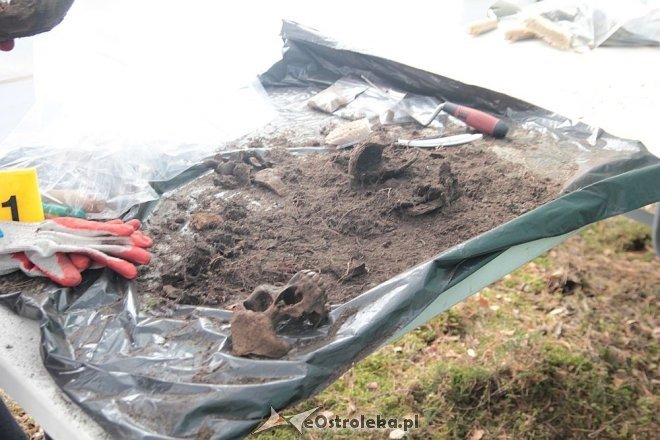 Prace ekshumacyjne prowadzone w gminie Lelis [07.10.2015] - zdjęcie #28 - eOstroleka.pl